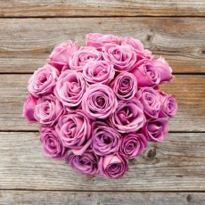 關於玫瑰的一些有趣知識（下）