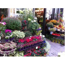 網紅花店為您推薦：婚禮五大必備花束